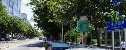 道路车位停放有序